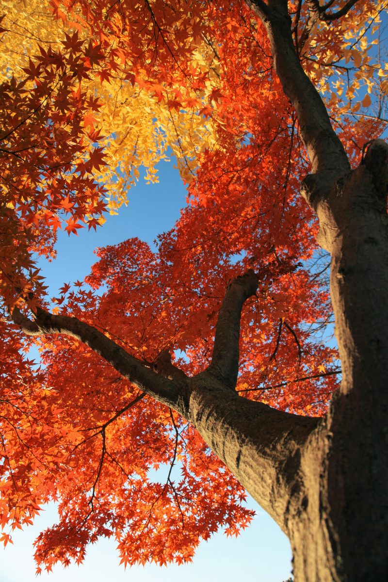 other_131128-5