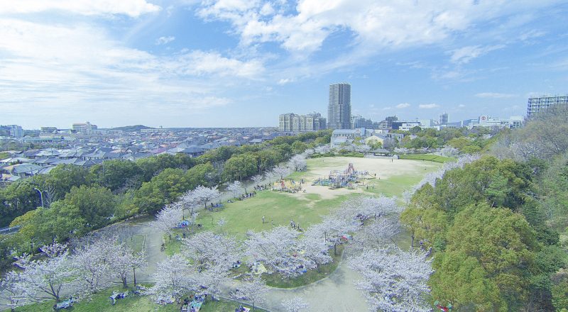 other_140402