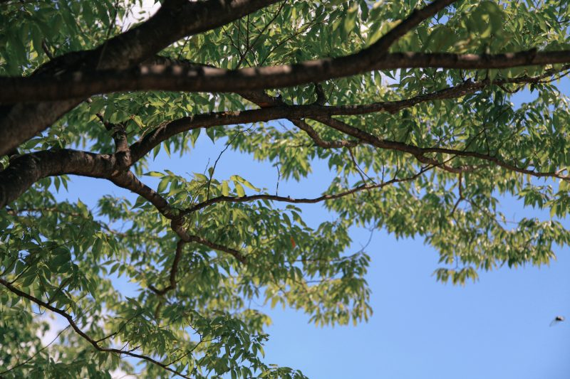 other_140731