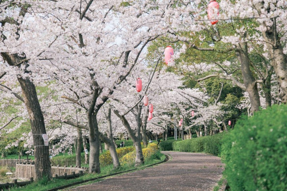 other_150404